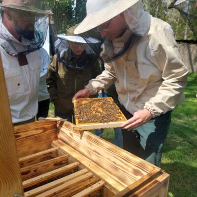 Nowatorskie Podejście Do Pszczelarstwa